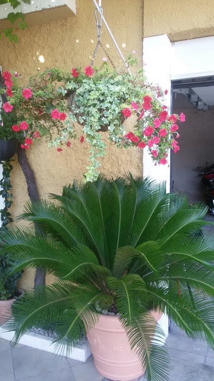 Rooms Mozara Trsteno Exterior foto